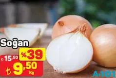 SOĞAN KG SOĞAN KG